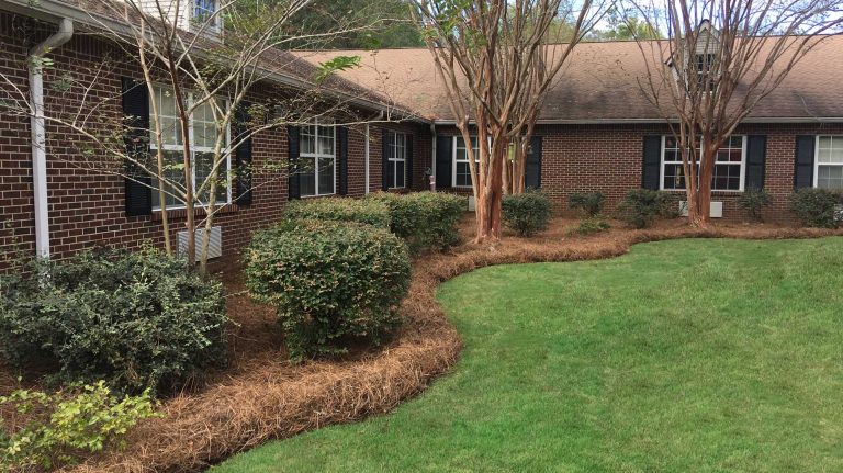Lawn Maintenance in Helena, AL