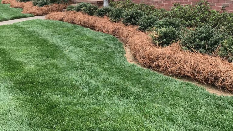 pinestraw installation in Hoover, AL
